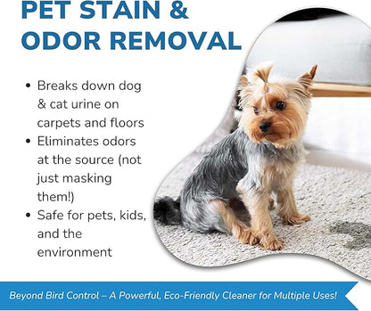 BIRD BARRIER Product Image Dissolve-It Enzyme Cleaner Concentrate |1 Quart Ready to use | Bird Dropping Remover, Pet Urine &amp; Odor Eliminator for Carpets, Hardwood Floors, Drains &amp; Grease Traps