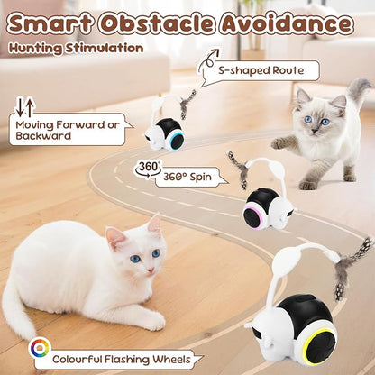 SlowTon Cat Interactive Toy for Indoor Cats - Remote Control Automatic Smart Moving Cats Toys with 2 Modes, Rechargeable Kitten Feather Toys for All Breeds of Bored Cat(Black)