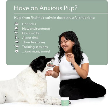 Reggie Anytime Calming Chews for Dogs | Natural Calming Dog Treats to Reduce Hyperactivity, Separation Anxiety, &amp; Stress | Vet-Approved &amp; Ideal for All Ages, Breeds, and Sizes - 60 Soft Chews