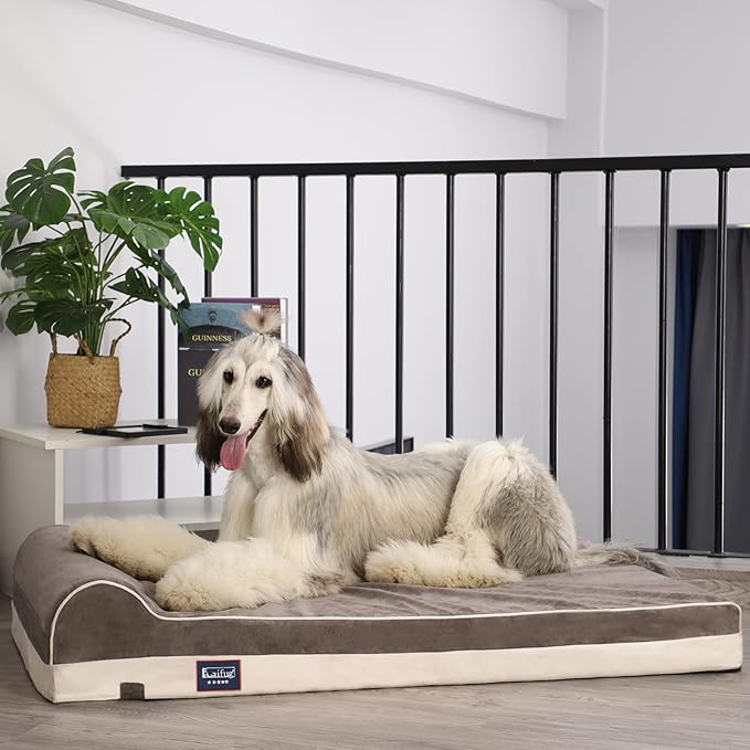 Laifug Orthopedic Memory Foam Extra Large Dog Bed with Pillow and Durable Water Proof Liner &amp; Removable Washable Cover &amp; Smart Design (Large (46"x28"x8"), Grey)