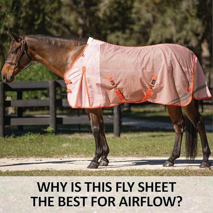 Schneiders Ripstop Nylon Mesh II Horse Fly Sheets | Optimal Airflow &amp; UV Protection