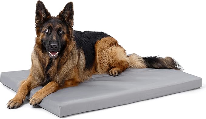 Cybarmour Indestructible Dog Bed - Outdoor Waterproof Chew Proof Dog Crate Pad - Orthopedic Kennel Mat for Aggressive Chewers - Extra Large Breeds &amp; Fits 48-Inch Crate - 47"x29", Limestone