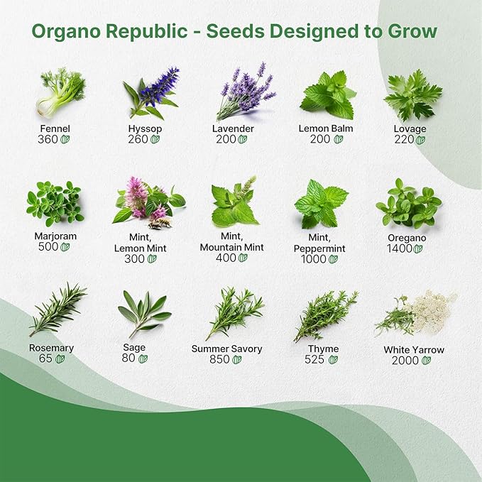 Organo Republic 30 Medicinal &amp; Tea Herb Seeds Variety Pack 15,560+ Non-GMO Heirloom Garden Seeds for Indoor &amp; Outdoors, Including Anise, Bergamot, Borage, Cilantro, Chamomile, Dandelion Seeds