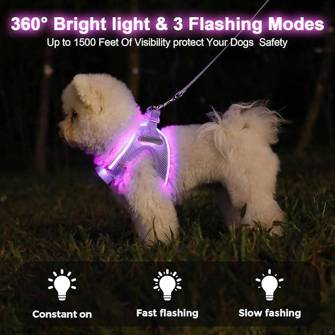 Light Up Dog Harness,Rechargeable LED Dog Harness for Small Medium Large Dogs,Reflective Lighted Safety Vest for Night Walking &amp; Camping,Lightweight &amp; Adjustable,Lavender Purple,XS