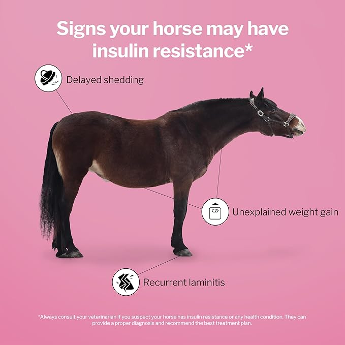 Formula 707 MetaStable Pellets for Horses 5 lb Bag – 40 Servings – University-Studied Support for Horses with Laminitis, Insulin Resistance &amp; Metabolic Disorders