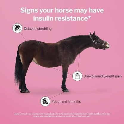 Formula 707 MetaStable Pellets for Horses 5 lb Bag – 40 Servings – University-Studied Support for Horses with Laminitis, Insulin Resistance &amp; Metabolic Disorders