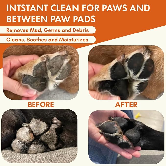 Dog Paw Cleaner | Gentle &amp; PH-Balanced | Dog Paw Wash for All Breeds | Nourishing Formula with Aloe Vera | Portable &amp; Easy-to-Use | Paw Cleaning Foam with Silicone Brush - 5.1 Fl Oz