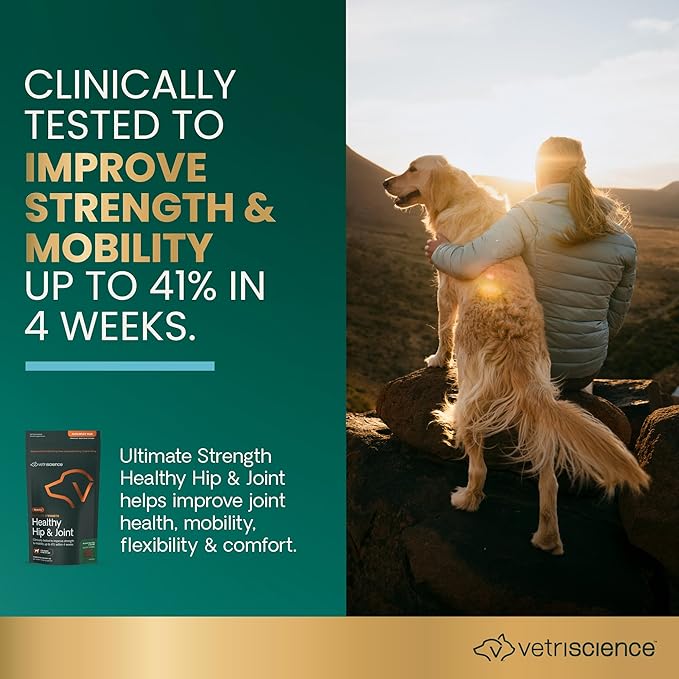 VetriScience Ultimate Strength Healthy Hip &amp; Joint Chews, GlycoFlex Glucosamine, Chondroitin &amp; Green-Lipped Mussel Joint Support Supplement for Dogs, Soothe Joint Discomfort, Peanut Butter, 120 Count