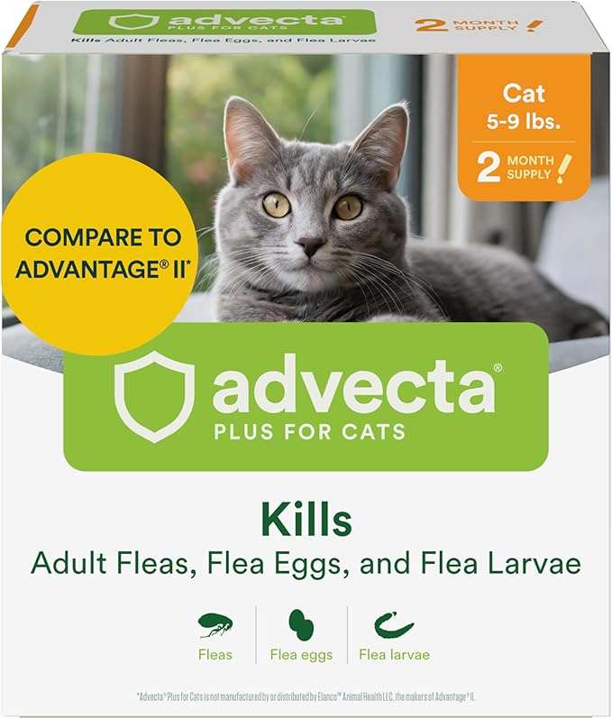 Plus Flea Prevention for Cats, Cat and Kitten Treatment &amp; Control, Small and Large, Fast Acting Waterproof Topical Drops, 2 Month Supply