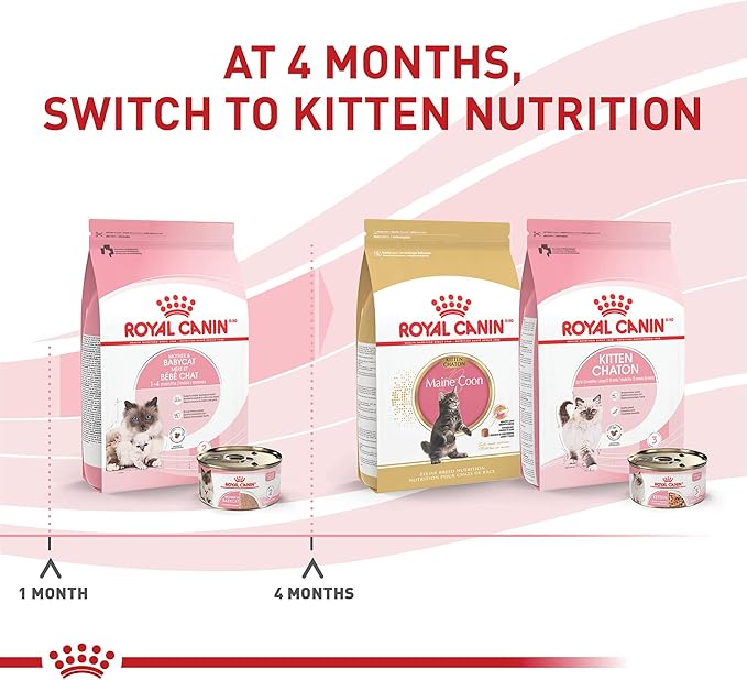 Royal Canin Feline Health Nutrition Mother &amp; Babycat Ultra Soft Mousse in Sauce Canned Cat Food, 3 oz can (24-count)