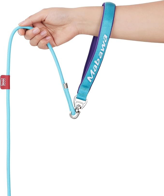 Dog Anti-Slip Leash 5FT with Metal Stopper - Durable No-Pull Training Lead for Small, Medium &amp; Large Dogs - Comfortable Handle Nylon Rope, Tangle-Free Pet Walking Leash (Lake Blue, 5.6FT)