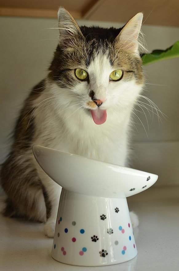 Necoichi Extra Wide Raised Cat Food Bowl, Elevated, Prevent Neck &amp; Whisker Fatigue, Dishwasher and Microwave Safe, No.1 Seller in Japan! (Colorful Dots Limited Edition, Extra Wide Tilted)