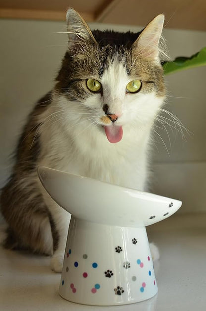 Necoichi Extra Wide Raised Cat Food Bowl, Elevated, Prevent Neck &amp; Whisker Fatigue, Dishwasher and Microwave Safe, No.1 Seller in Japan! (Colorful Dots Limited Edition, Extra Wide Tilted)