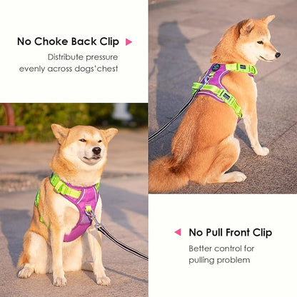 PHOEPET No Pull Dog Harness, Unique Colors Reflective Adjustable Dog Vest, with Soft Training Handle Metal Clips for Small Medium Large Dogs (Purple Base &amp; Green Straps,S)
