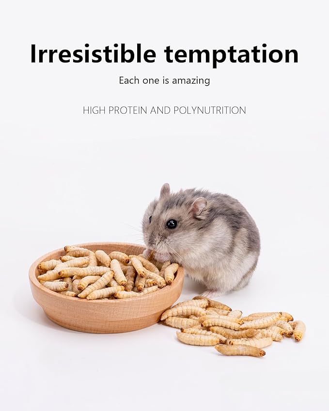 Niteangel Small Animal Snack &amp; Treats - Small Critter Natural Treat for Dwarf Syrian Hamsters Gerbils Mice Sugar Glider Hedgehogs Chickens Birds (Freeze-Dried Worms- 0.9oz (25g))