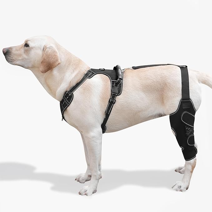 Dog Knee Brace with Adjustable Support – ACL &amp; CCL Tear Recovery, Post-Surgery Stabilization, Mobility Aid for Rear Legs – Includes Secure Chest Harness for Dogs(Left,L)