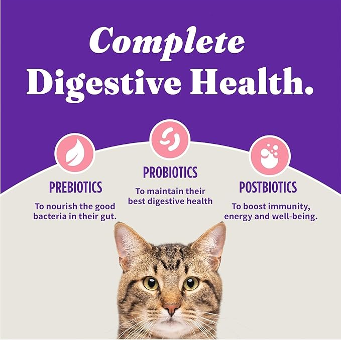 Halo Holistic Kitten Food, Wild Caught Salmon &amp; Whitefish Recipe, Grain Free Dry Cat Food, Complete Digestive Health, 6 lb Bag