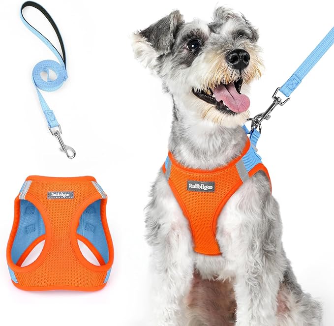 rabbitgoo Dog Harness Small Medium Sized and Leash Set, Step in Soft Light Puppy Vest, Breathable Mesh Pet Harness, Reflective for Safe Easy Walking, Blue &amp; Orange XL