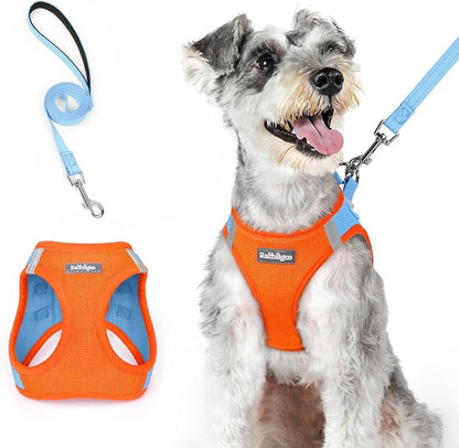 rabbitgoo Dog Harness Small Medium Sized and Leash Set, Step in Soft Light Puppy Vest, Breathable Mesh Pet Harness, Reflective for Safe Easy Walking, Blue &amp; Orange XL