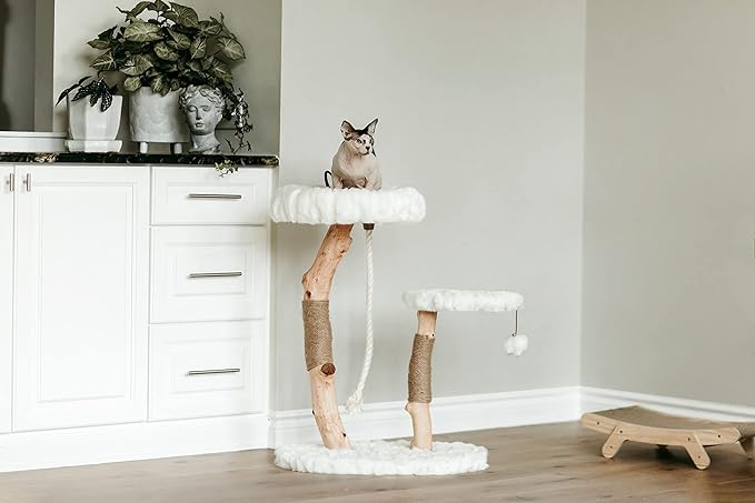 Mau Lifestyle Luxury Cat Tree: Modern Cat Condo &amp; Luxury Wood Cat Tower; Natural Branch Scratching Tree &amp; Cat Condo; Cat Gifts by Mau