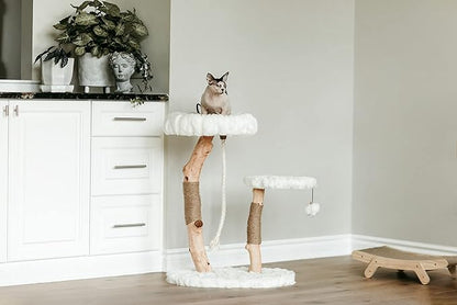 Mau Lifestyle Luxury Cat Tree: Modern Cat Condo &amp; Luxury Wood Cat Tower; Natural Branch Scratching Tree &amp; Cat Condo; Cat Gifts by Mau