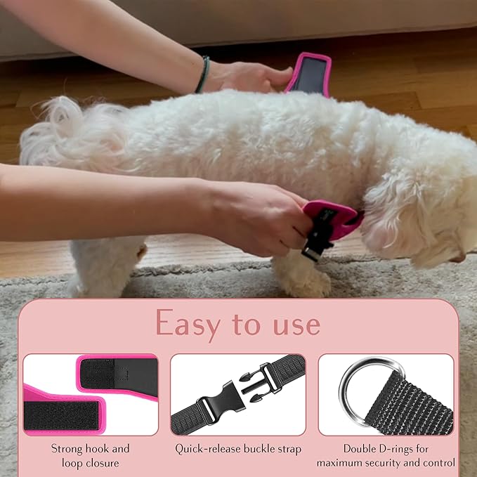 Comfort fit Step-in Dog &amp; Puppy Harness - Comfortable All Weather Dog Vest Harness: Adjustable, Soft Padded, Easy to Put-on for Small, Medium-Sized Dogs.