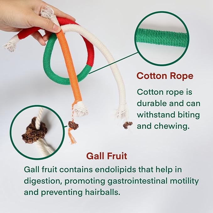 Kittens Toys，Cat Chew Toys for Indoor Cats, Catnip Toy for Teeth Cleaning, Interactive Cat Nip Teething Rope Toys for Cats Kitty, 2 Pack (27.56&amp;7.87 inches，Plus 2 Packs of Catnip)