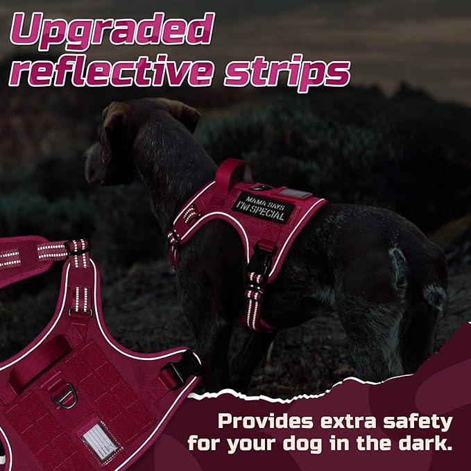 rabbitgoo Tactical Dog Harness for Large Dogs, No Pull Military Service Vest with Handle &amp; Molle, Easy Control for Training Walking, Adjustable Reflective Straps, Rose Red, L