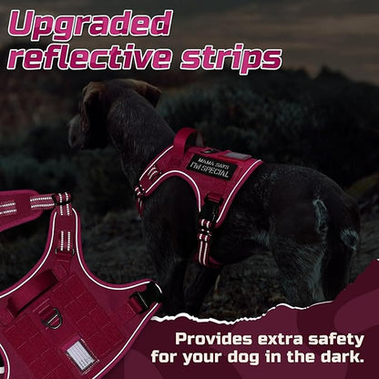 rabbitgoo Tactical Dog Harness for Large Dogs, No Pull Military Service Vest with Handle &amp; Molle, Easy Control for Training Walking, Adjustable Reflective Straps, Rose Red, L