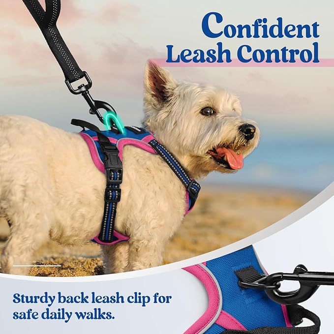 rabbitgoo Dog Harness No Pull with 2 Leash Clips, Adjustable Soft Padded, Reflective Oxford No Choke Pet Vest with Easy Control Handle for Large Dogs, Blue &amp; Hot Pink, XS