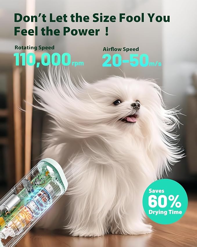 L&amp;W BROS. 2-in-1 Pet Hair Dryer with Clamp Stand – Wearable &amp; Hands-Free Dog Grooming Dryer, 950W Low Noise Blower with 5 Heat &amp; 3 Speed Settings, for Small to Medium Pets (Green)