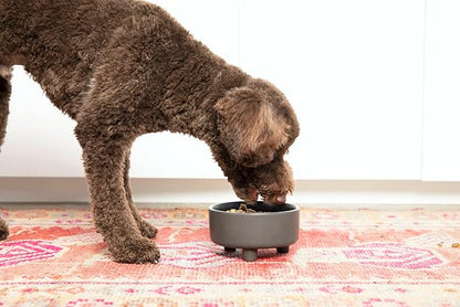 Waggo Uplift Ceramic Dog Bowl for Small Medium and Large Breeds - Heavyweight and Durable Pet Food and Water Dish Crock, Dishwasher Safe, Modern, Elevated Feeder (Teracotta, Large)