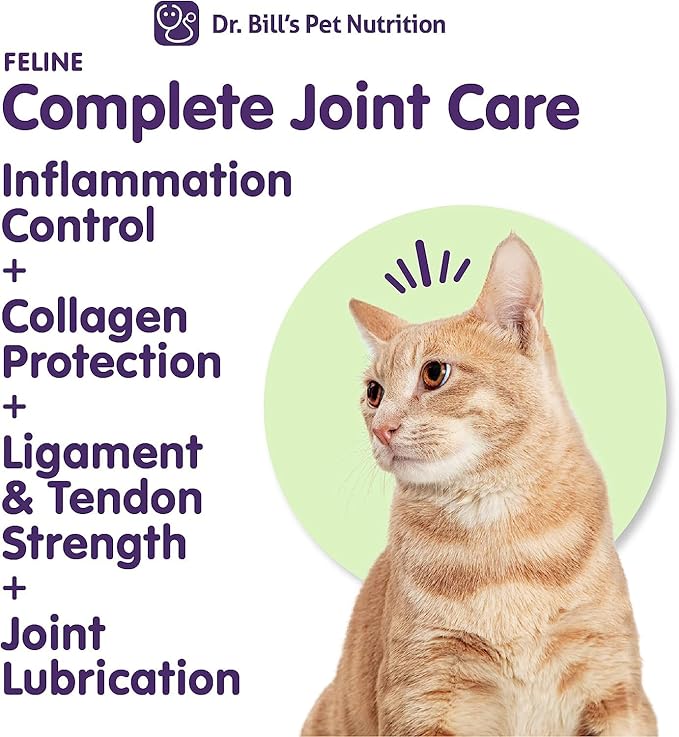 Dr. Bill’s Feline Complete Joint Care | Advanced Hip &amp; Joint Supplement for Cats | Green Lipped Mussel Extract, Collagen Type II, Chondroitin, Hyaluronic Acid, Omega 3 and Colostrum | Powder, 85g