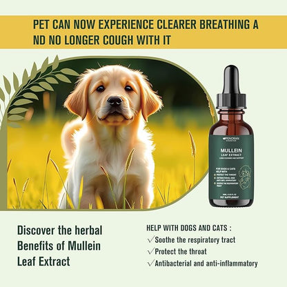 Pet Mullein Leaf Extract Drops for Dogs &amp; Cats Hoarseness, Cough, Easy Breathing, Lung Cleanse and Support, Better Lungs, Soothes Throat Discomfort - ﻿100% Natural and Efficient ﻿ ﻿
