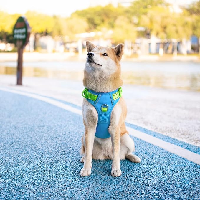 PHOEPET No Pull Dog Harness, Unique Colors Reflective Adjustable Dog Vest, with Soft Training Handle Metal Clips for Small Medium Large Dogs (Blue Base &amp; Green Straps,L)