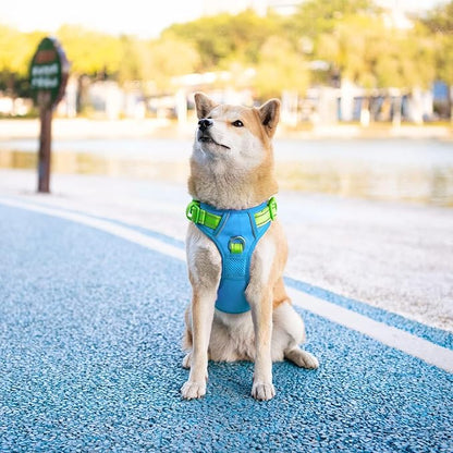 PHOEPET No Pull Dog Harness, Unique Colors Reflective Adjustable Dog Vest, with Soft Training Handle Metal Clips for Small Medium Large Dogs (Blue Base &amp; Green Straps,XL)
