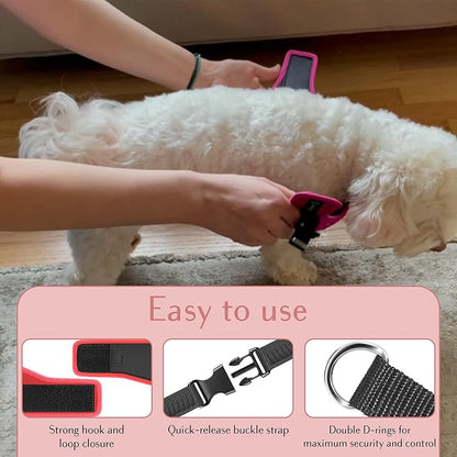 No Pull Dog Harness for Small, Medium &amp; Large Dogs – Soft Padded, Adjustable Step-in Pet Vest with Leash Clips, Reflective Straps &amp; Control Handle