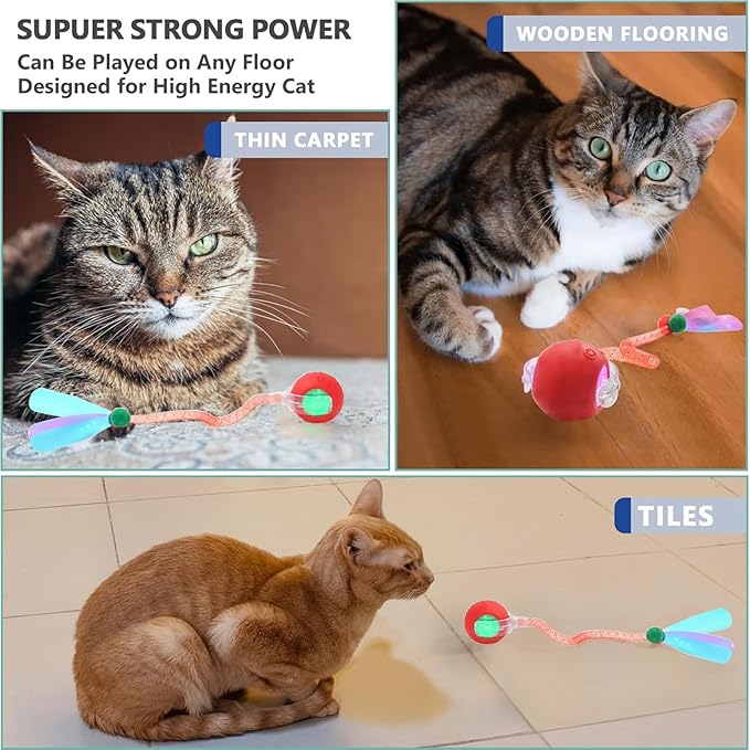 2 Packs Speed 2.0 Tail Interactive Cat Toys for Indoor Cats, Chirping &amp; Motion Activate Cat Toy, Smart Kitten Rolling Ball Moving Ball Toys, Rechargeable Dog Cats Bal l for Enrichment Exercise