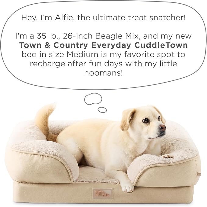 TOWN &amp; COUNTRY EVERYDAY CuddleTown Comfy Solid Bolster Sofa Pet Bed, Supportive &amp; Calming Egg Crate Foam, Non-Slip Bottom, Machine Washable Cover, Beige, Medium 28"x23"x8"
