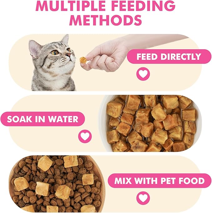 Freeze Dried Cats &amp; Dogs Raw Treats, All Natural Single Ingredient Salmon, High Protein Healthy Pet Training Treats or Food Topper, 3.5 oz