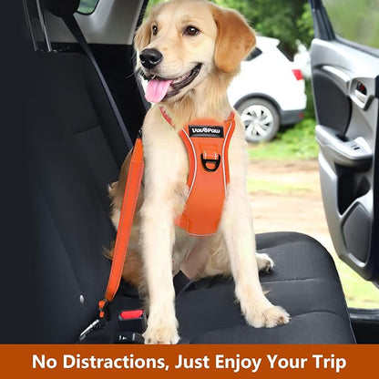 Dog Seat Belt Harness for Car, Dog Car Harness Adjustable Mesh Breathable &amp; Dogs Seatbelt Safety Tether with Elastic Bungee for Small Medium Large Pets(Orange, M)