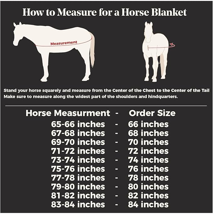 Schneiders Soft Interlock Mesh II Zebra Horse Fly Sheets | Striking Zebra Pattern for Fly Deterrence &amp; Superior UV Protection