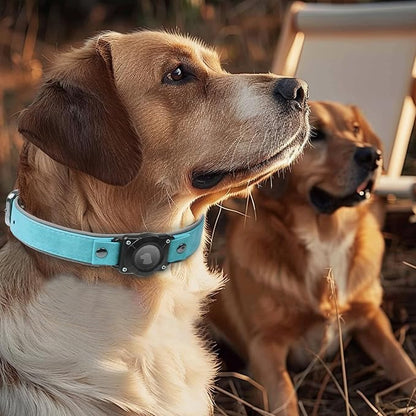 AirTag Dog Collar - Leather Dog Collar with Air Tag Holder | IPX8 Waterproof, Reflective, High - End, Adjustable Soft Padded | Dog GPS Tracker Collars Fit for Medium Large Dogs (Light Blue, L)
