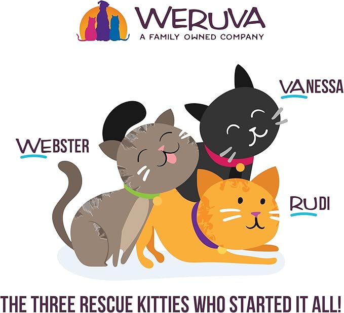 Weruva B.F.F. Play - Best Feline Friend Paté Lovers, Aw Yeah!, Chicken &amp; Turkey Topsy Turvy with Chicken &amp; Turkey, 2.8oz Can (Pack of 12)
