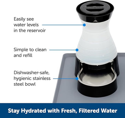 PetSafe Healthy Pet Water Station - Large, 320 oz Capacity - Gravity Pet Water Fountain, Automatic Cat Water Fountain or Dog Water Fountain - Water Dispenser - Removable Stainless Steel Bowl Included