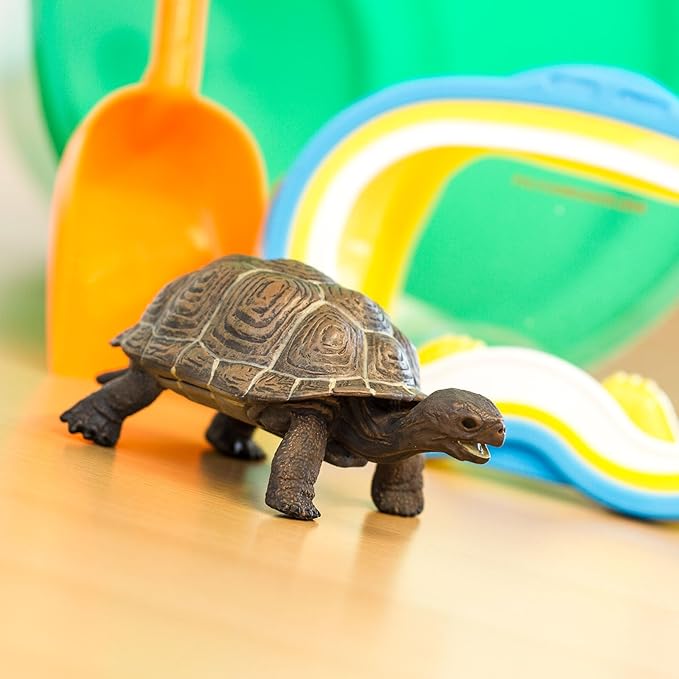 Safari Ltd. Tortoise Baby Figurine - Detailed 5.5" Plastic Model Figure - Fun Educational Play Toy for Boys, Girls &amp; Kids Ages 18M+