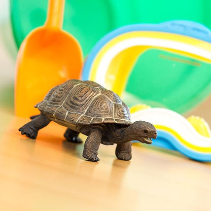 Safari Ltd. Tortoise Baby Figurine - Detailed 5.5" Plastic Model Figure - Fun Educational Play Toy for Boys, Girls &amp; Kids Ages 18M+