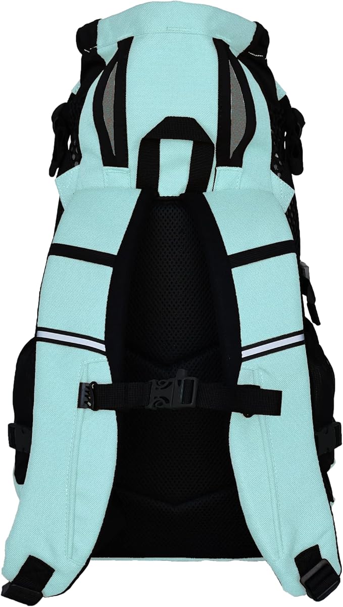 K9 Sport Sack Plus 2 - Small, Summer Mint - Ideal for Dogs 13-16” Long - Adjustable, Backpack-Style Carrier with Multi-Functional Storage Pack, Thick Shoulder Straps &amp; Padded Back Panel