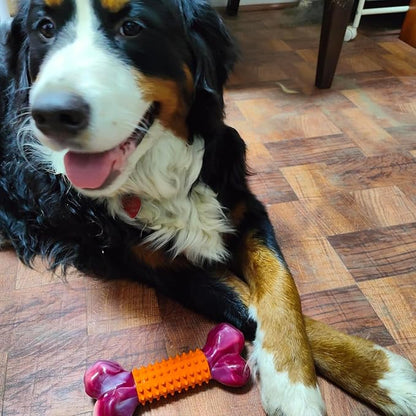 Apasiri Dog Toys for Aggressive Chewers Peanut Butter Flavored, 8" Tough Dog Chew Bone, Nylon &amp; Rubber Chew Toy, Dog Bone Toy for Large Medium Breed 20-80lbs