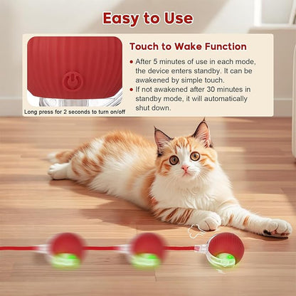 Interactive Cat Toy Dog Toy, Electric Automatic Rolling Moving Toys, Self Activated Play Smart Rolling Ball for Cats &amp; Dogs, Chase Teaser Pet Ball for Bored Indoor Cats/Kittens/Dogs, Rechargeable